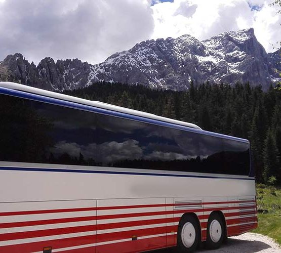 Bus