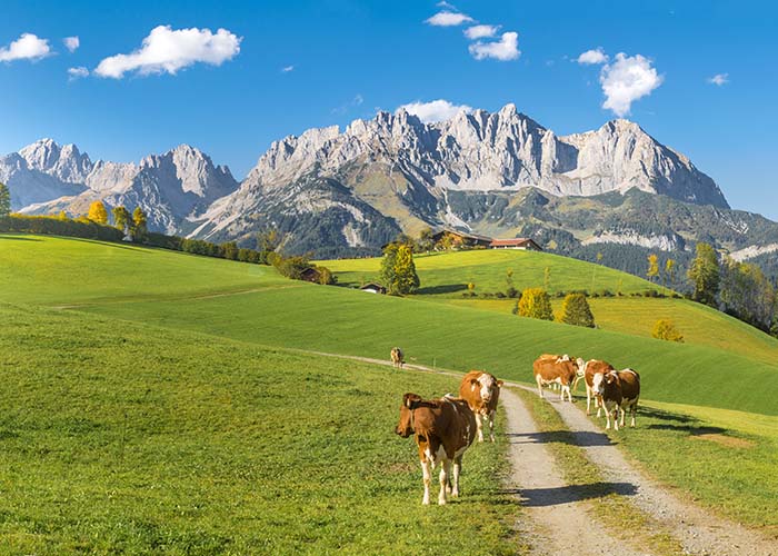 Busreiseziele in Tirol, die mit Gabriel Moser im Sommer erreicht werden können